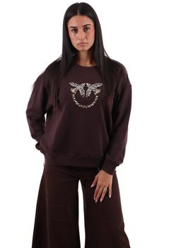 Felpa Pinko 100534 A3JQ da donna marrone.