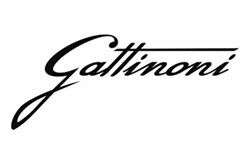 Gattinoni